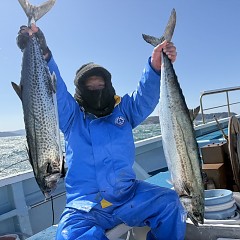 3月 8日（日）一日便・泳がせ釣りの写真その1