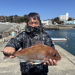 3月8日（日）午前便・泳がせ釣りの写真その4