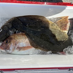 3月10日（火）午前便・泳がせ釣りの写真その6