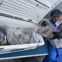 3月 13日（金）一日便・ヤリイカ釣りの写真その7