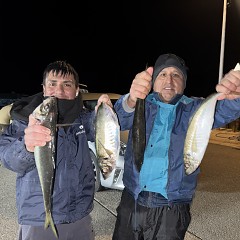 3月12日（木）午後便・アジ釣りの写真その1