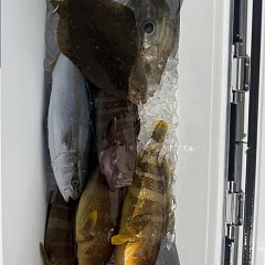 3月 14日(土)泳がせ釣りの写真その7