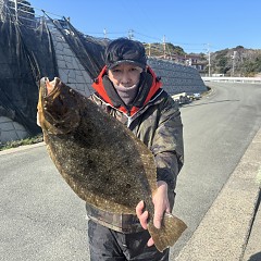 3月 15日（日）午前、泳がせ、午後、アジ釣りの写真その8