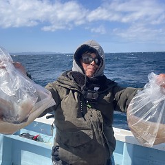 3月 16日（月）一日便・ヤリイカ釣りの写真その4