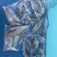 3月 17日（火）一日便・ヤリイカ釣りの写真その11