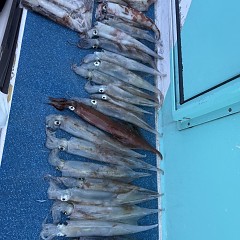 3月 17日（火）一日便・ヤリイカ釣りの写真その12