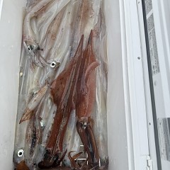 3月 18日（水）一日便・ヤリイカ釣りの写真その11