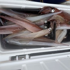 3月 18日（水）一日便・ヤリイカ釣りの写真その12