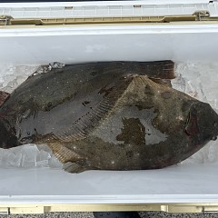 3月18日（水）午前便・泳がせ釣りの写真その4