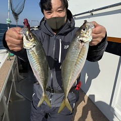 3月20日(金)午後便・アジ釣りの写真その6