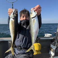 3月20日(金)午後便・アジ釣りの写真その7