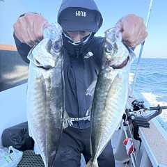 3月20日(金)午後便・アジ釣りの写真その10