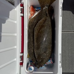 3月21日（土）午前便・泳がせ釣りの写真その8