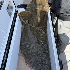 3月21日（土）午前便・泳がせ釣りの写真その9