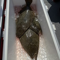 3月21日（土）午前便・泳がせ釣りの写真その10