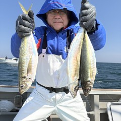 3月21日（土）午後便・アジ釣りの写真その2