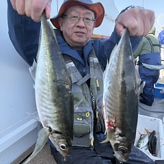 3月21日（土）午後便・アジ釣りの写真その4