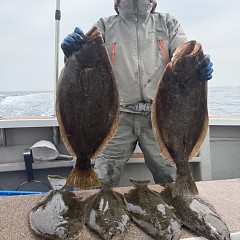 3月22日（日）午前便・泳がせ釣りの写真その1