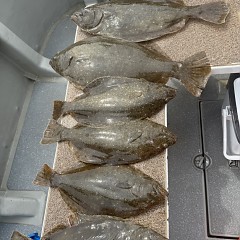 3月22日（日）午前便・泳がせ釣りの写真その6