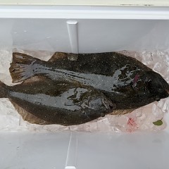 3月22日（日）午前便・泳がせ釣りの写真その8