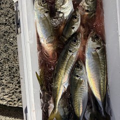 3月22日（日）午後便・アジ釣りの写真その9