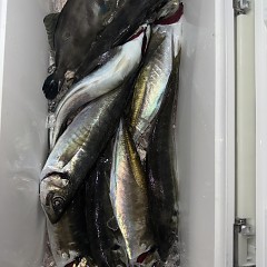 3月 23日（月）午後便・アジ釣りの写真その6