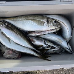 3月24日（火）午後便・アジ釣りの写真その8