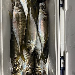 3月 27日（金）午後便・アジ釣りの写真その7