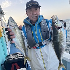 3月 27日（金）午後便・アジ釣りの写真その4