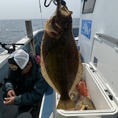 3月 29日（日）午前便・泳がせ釣りの写真その10