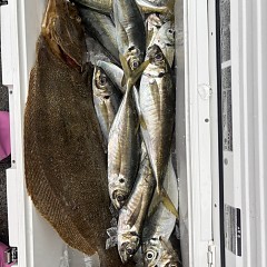 4月 1日（水）午後便・アジ釣りの写真その4