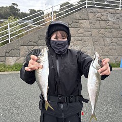 4月 4日（土）午前便・アジ釣りの写真その11