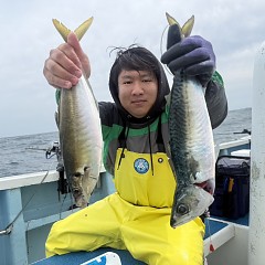 4月 5日（日）午前便・アジ釣りの写真その6
