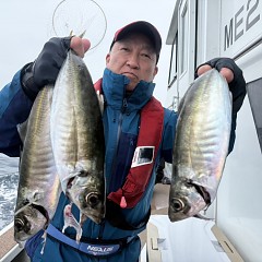 4月6日（月）午前便・アジ釣りの写真その2