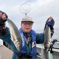 4月6日（月）午後便・アジ釣りの写真その3
