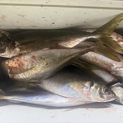 4月6日（月）午後便・アジ釣りの写真その8