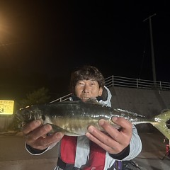 4月8日（水）午後便・アジ釣りの写真その3