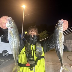 4月8日（水）午後便・アジ釣りの写真その4