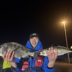 4月8日（水）午後便・アジ釣りの写真その5