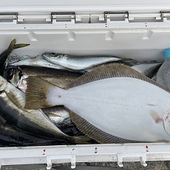 4月 9日（木）午後便・アジ釣りの写真その5