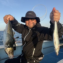 4月 11日（土）午後便・アジ釣りの写真その3