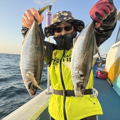 4月 11日（土）午後便・アジ釣りの写真その6