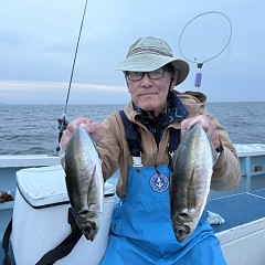 4月 12日（日）午前、午後便アジ釣りの写真その1