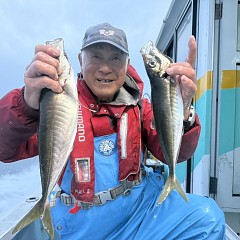 4月 12日（日）午前、午後便アジ釣りの写真その3
