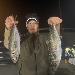 4月 12日（日）午前、午後便アジ釣りの写真その8