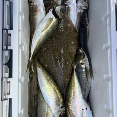 4月 12日（日）午前、午後便アジ釣りの写真その3