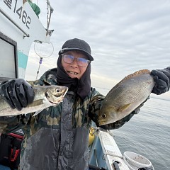 4月 13日（月）午後便・アジ釣りの写真その3