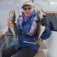 4月 13日（月）午後便・アジ釣りの写真その2