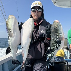 4月 14日(火)午前便・トラフグ釣りの写真その2