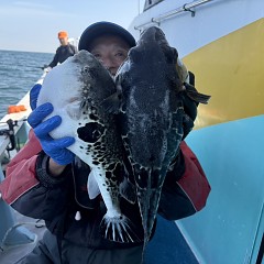 4月 14日(火)午前便・トラフグ釣りの写真その4